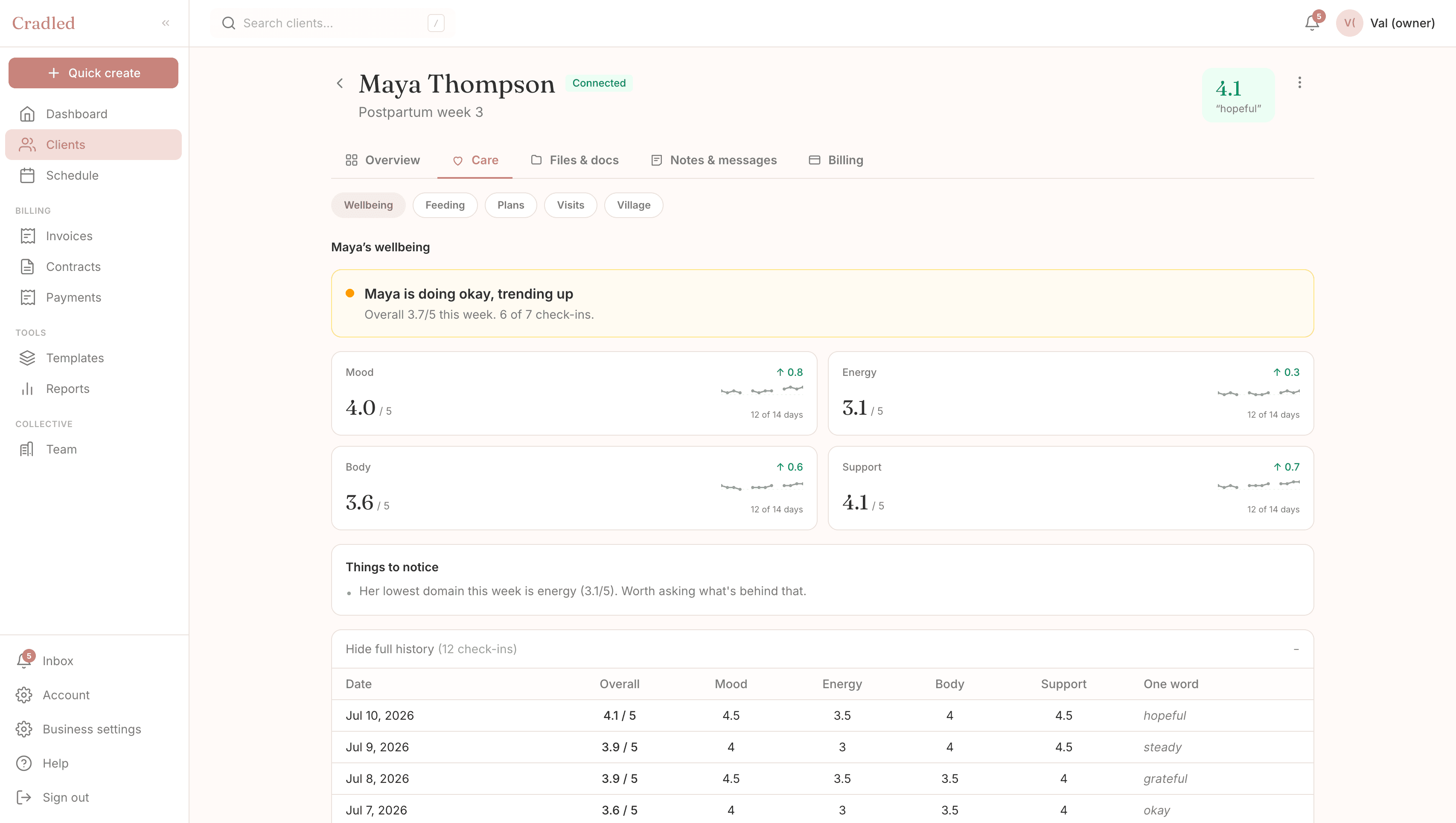 A client's wellbeing — check-in trends, domain scores, and session-prep flags